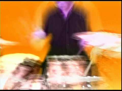 Mudhoney - Sonic Infusion