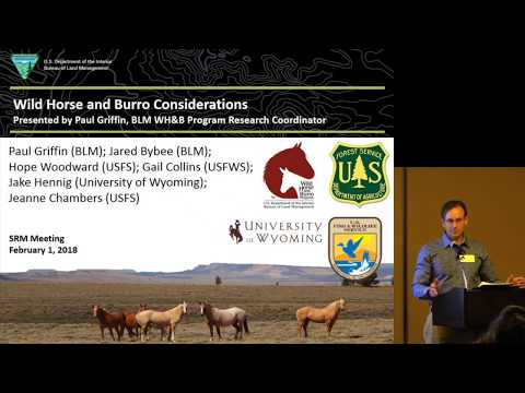 Wild Horse and Burro Considerations