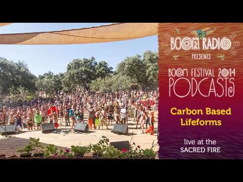 Carbon Based Lifeforms - Sacred Fire 05 - Boom Festival 2014