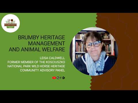 Brumby Heritage. Management & Animal Welfare with Leisa Caldwell on The Country Telegraph.