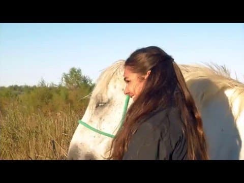 Domaine de Sylvéréal en Camargue : Les animaux de la 8