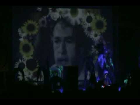 Psynema - Boom Festival 2008 - Final Show