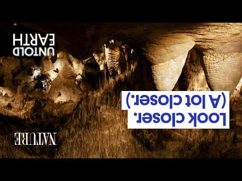 Why NASA is interested in an upside-down cave