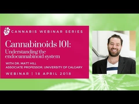 Cannabinoids 101: the endocannabinoid system explained