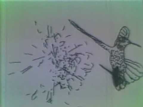 Charles Csuri - Hummingbird