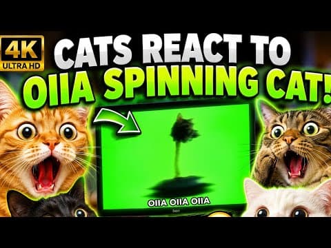Cats React To Oiia Spinning Cat - Funniest Cat Reactions Compilation | Oiia Cat Meme