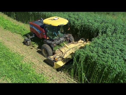Hemp: The New Agricultural Frontier