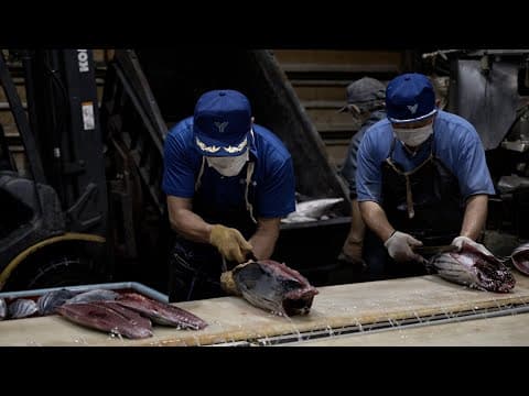 How Katsuobushi Is Made