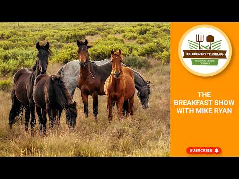 Australia's Strategy for Nature 2024-2030 | Reported shooting of Brumbies in protection zone.