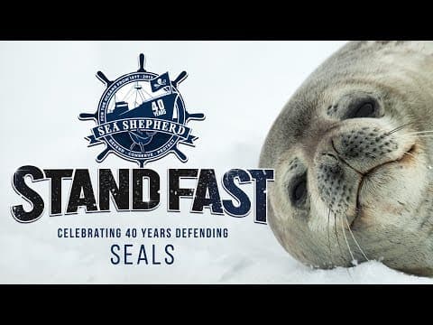 Stand Fast: 40 Years Defending Seals