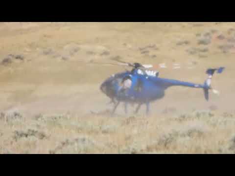 North Landers Complex, WY BLM Wild Horse Round-Up 7/1/24 Video 13