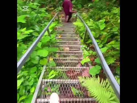 Natural Heritage site (Parangiju Mountain Lodge and Tenaru waterfall). Solomon Islands