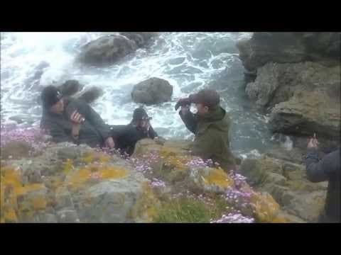 Scottish Seal Shot 2nd June 2015 in Aberdeenshire