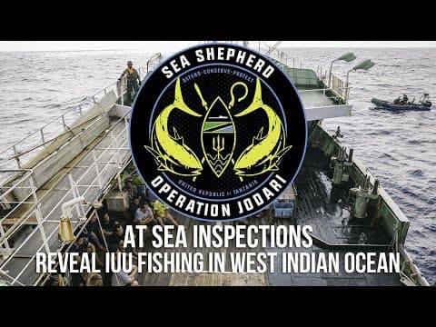 At Sea Inspections reveal IUU fishing in West Indian Ocean