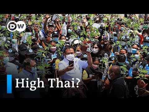 Thailand becomes the first Asian country to decriminalise cannabis