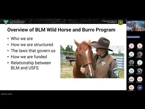 Applying to serve on the National Wild Horse and Burro Advisory Board
