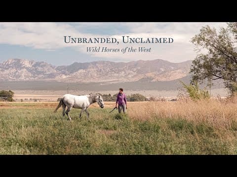 Gentling the Wild - One Woman’s Part in the Western Mustang’s Biggest Struggle