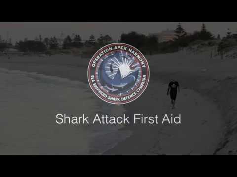 Operation Apex Harmony: First Aid Shark Response