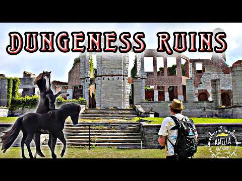 Exploring the Abandoned Island of Wild Horses & Ruins