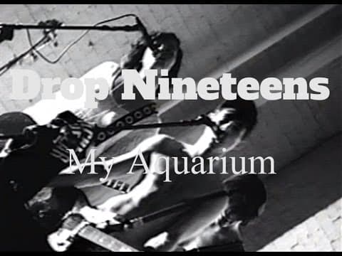 Drop Nineteens ⧸⧸ My Aquarium - Drop Nineteens ⧸⧸ My Aquarium