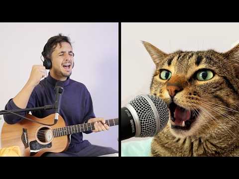 Serafino the Singing Cat Gets a Rock Anthem