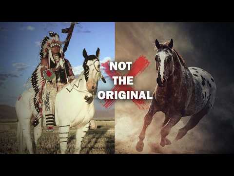 What Happened to The Nez Perce’s Original Horses?