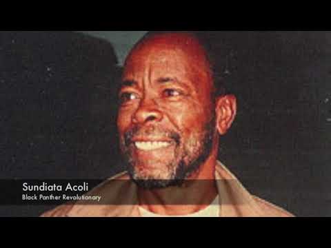 Assata Shakur and the Black Liberation Army