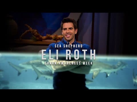 Eli Roth - Film Director and Shark Activist | Shark Awareness Week