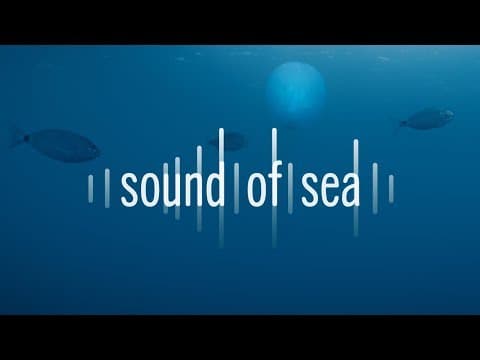 Sound Of Sea