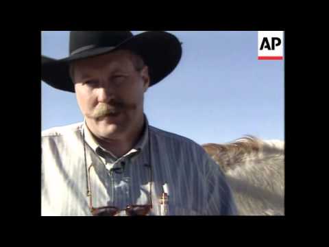 USA: SCHEME TO SAVE WILD HORSES SELLS THEM TO MEAT INDUSTRY