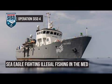 Sea Eagle Fighting Illegal Fishing in the Med