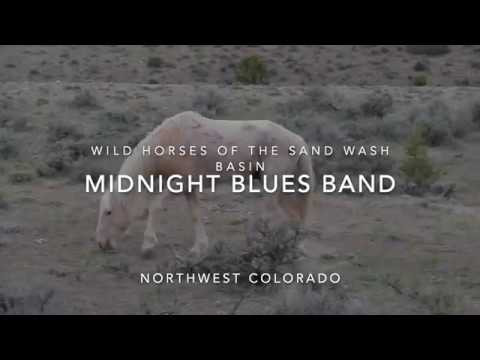 Wild Horses of the Sand Wash Basin - Midnight Blue's Band