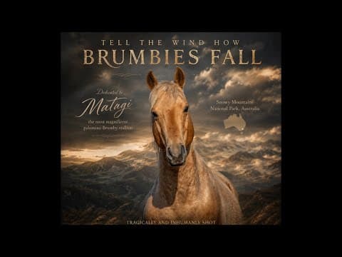 Dedication to Matagi - Tell The Wind How Brumbies Fall
