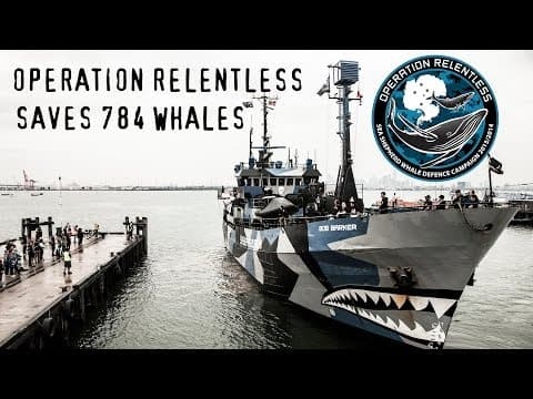 Operation Relentless Saves 784 Whales
