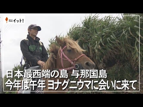 日本最西端の島 与那国島 今年は午年 ヨナグニウマに会いに来て(沖縄テレビ)2026/01/08