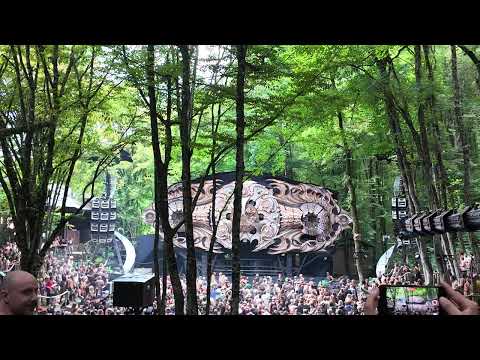 Hive stage opening with Syntetik Chaos
