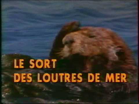 VHS Planète Cousteau - Le sort des Loutres de Mer - La Grande Aventure de la Mer