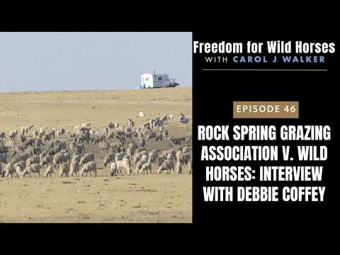 46. Rock Spring Grazing Association v. Wild Horses: Interview with Debbie Coffey