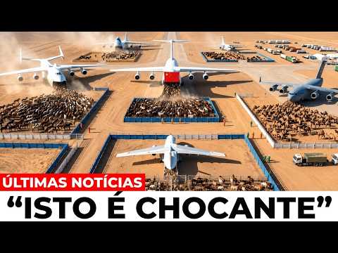 A China soltou cavalos em um deserto morto - então algo estranho começou a acontecer