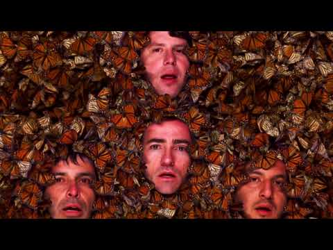 The Shins - Saint Simon