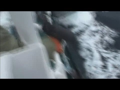 Sea Shepherd accused of 'sabotage'