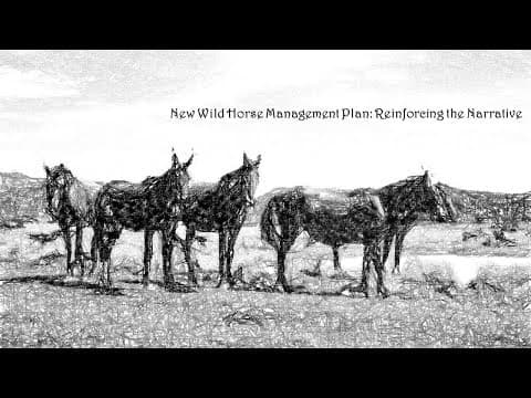 New Wild Horse Management Plan: Reinforcing the Narrative