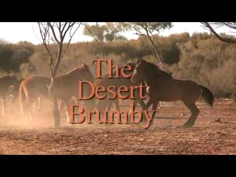 Australian Desert Brumby (Promo)
