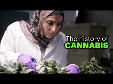 NOVA: where did the cannabis plant come from?