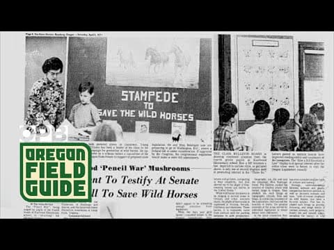 Oregon 4th Graders Helped Pass 1971 Wild Horse Law