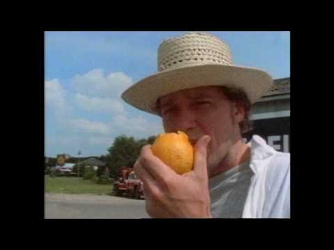 Jayhawks - Settled Down Like Rain