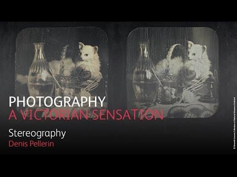 Photography: A Victorian Sensation - Stereography
