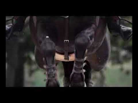 Hermès - Horse in the city_2