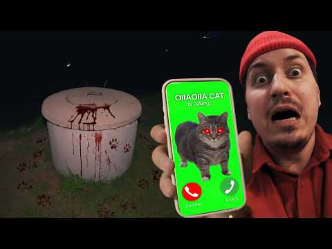IF YOU SEE OIIA OIIA CAT IN THE WELL... RUN!