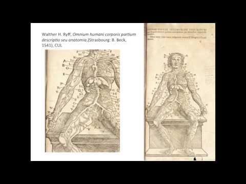 The Fabrica and the Epitome, 1543